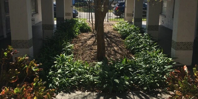 MEDICAL AND PROFESSIONAL OFFICE IN CLEARWATER