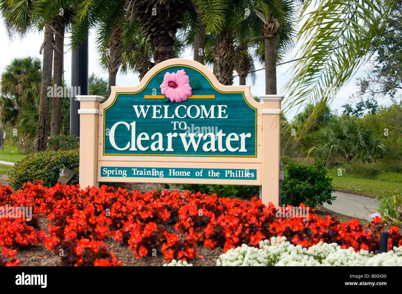 MEDICAL AND PROFESSIONAL OFFICE IN CLEARWATER