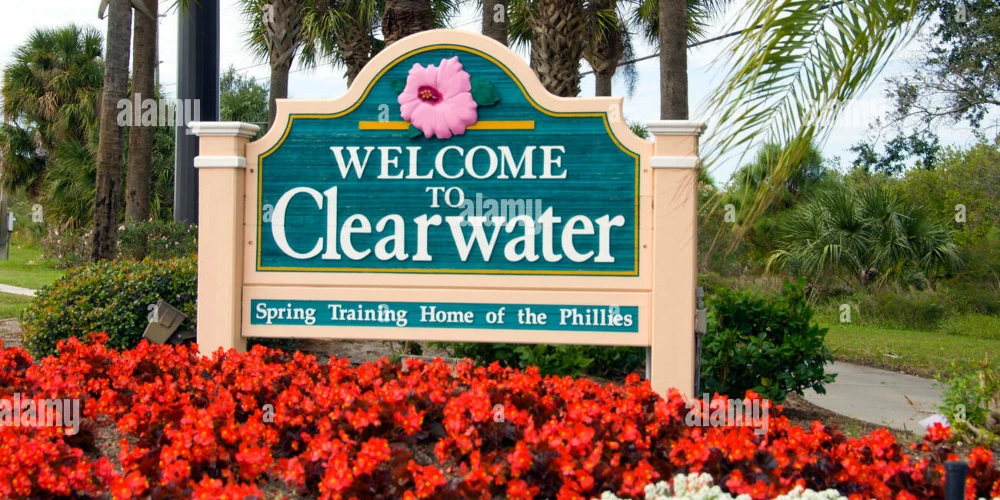 MEDICAL AND PROFESSIONAL OFFICE IN CLEARWATER