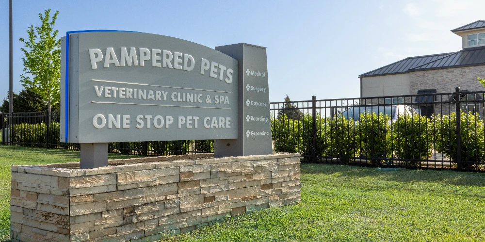 Pampered Pets 