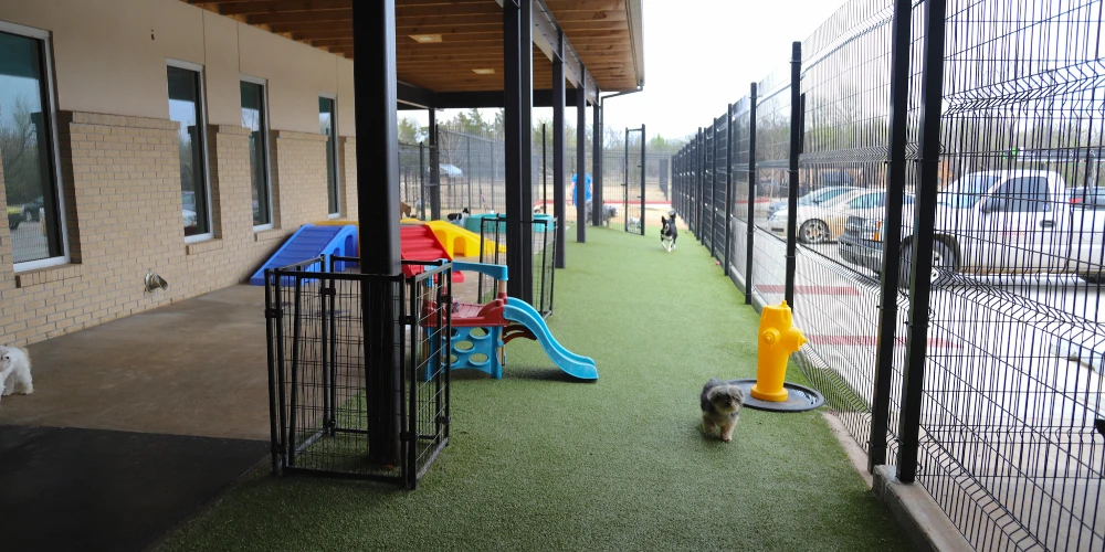 Pampered Pets 