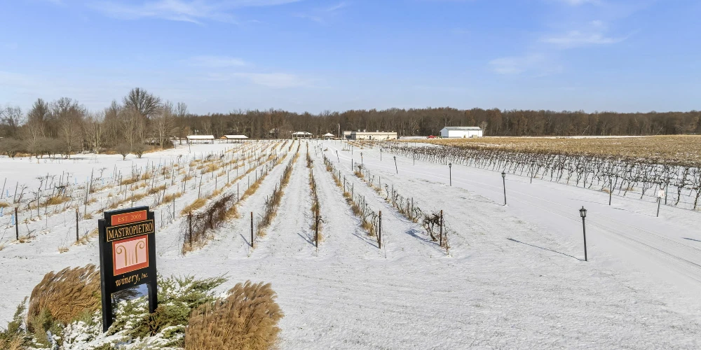 Mastropietro Winery
