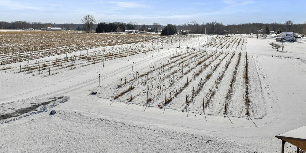 Mastropietro Winery
