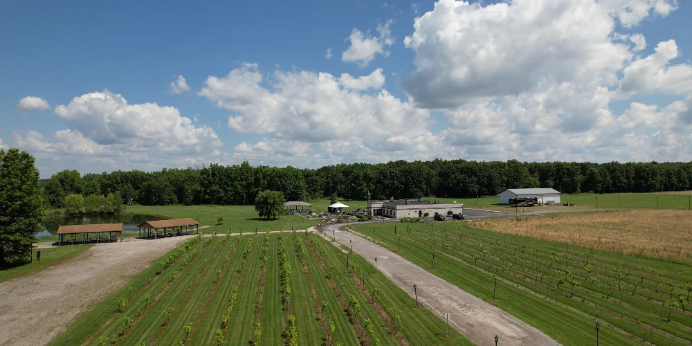 Mastropietro Winery