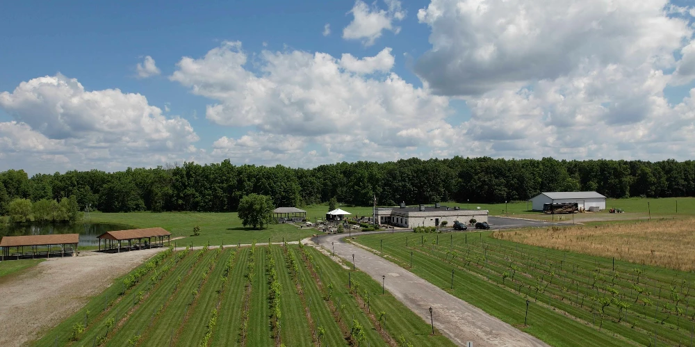 Mastropietro Winery