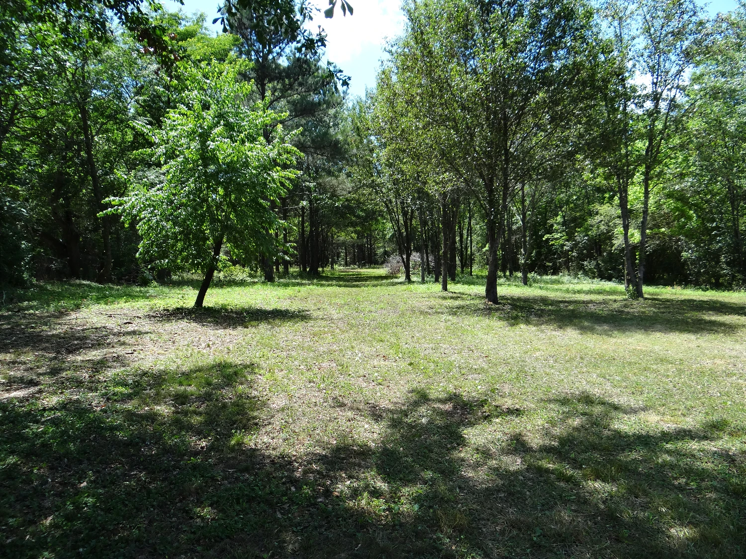 Development acreage in Huntsville