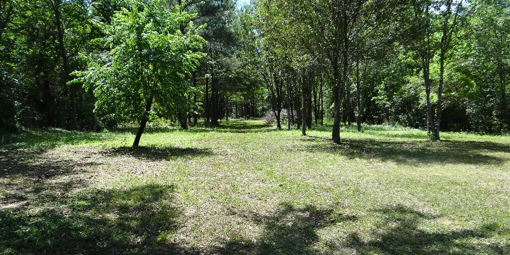 Development acreage in Huntsville