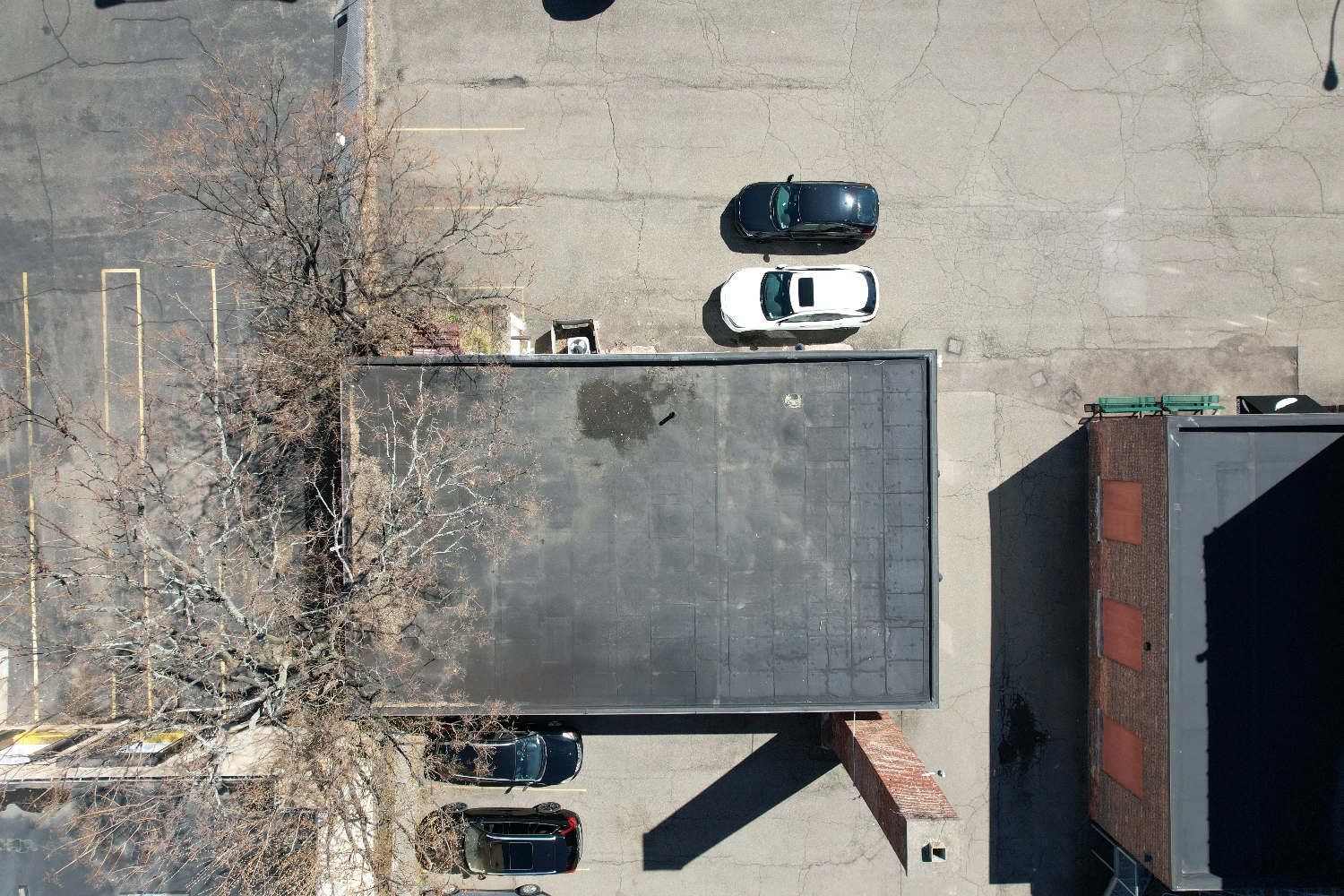 74 Carroll St
