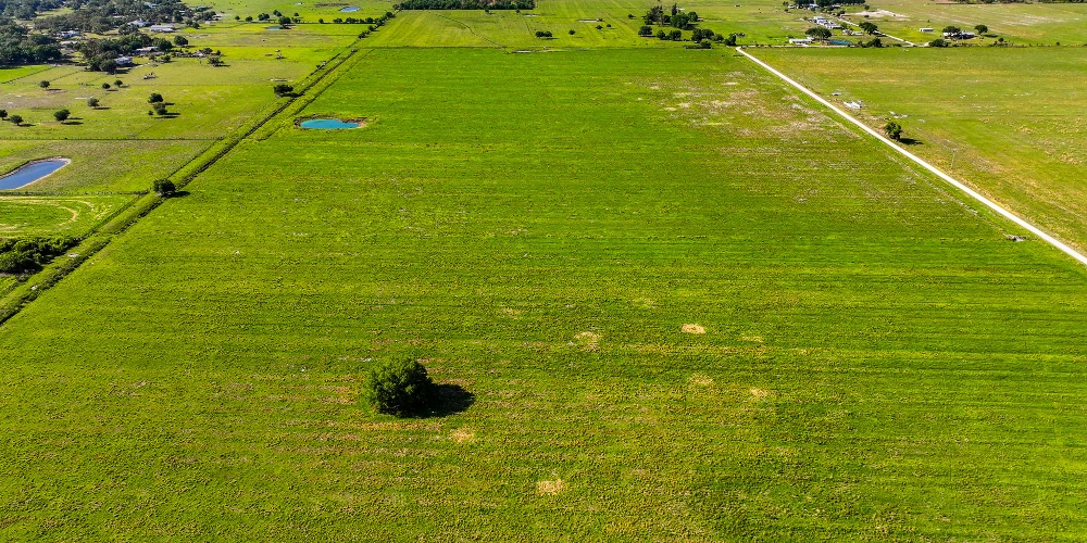 The K Ranch