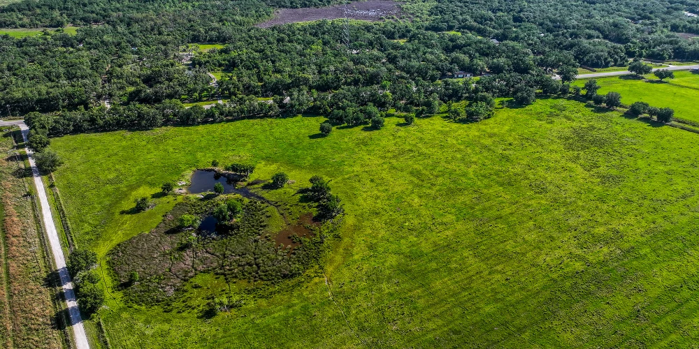 The K Ranch