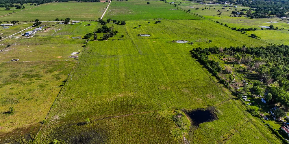The K Ranch