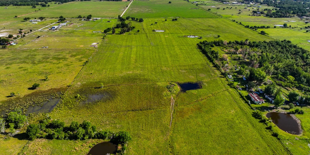 The K Ranch
