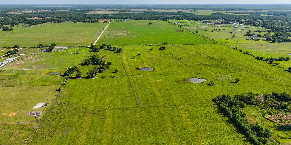 The K Ranch