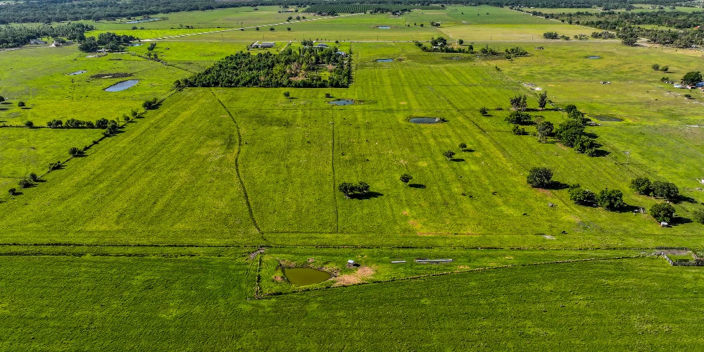 The K Ranch