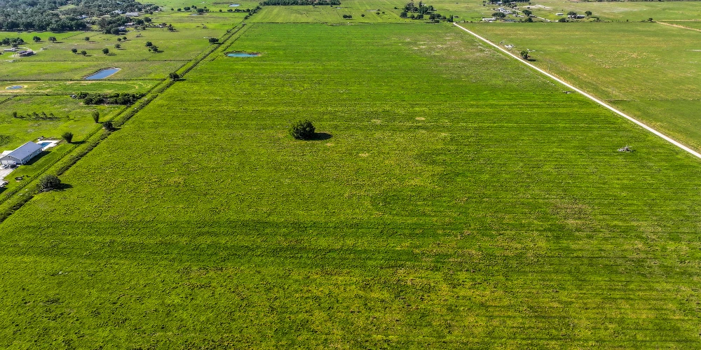 The K Ranch