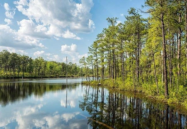 Massive High Yield 3-Acre Agricultural Worker Housing Potential Site