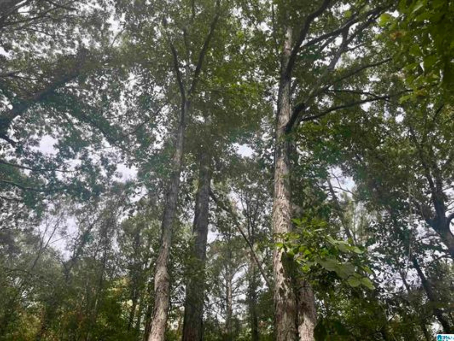 5.7 Acre Commercial Parcel 
