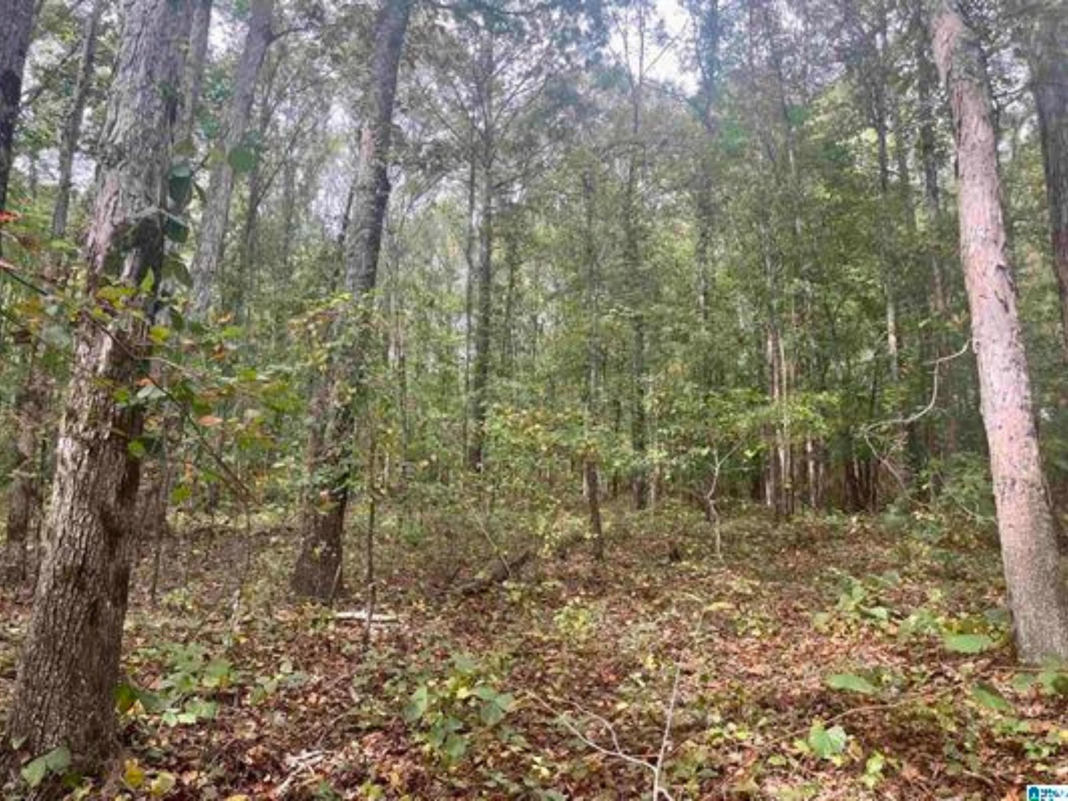 5.7 Acre Commercial Parcel 