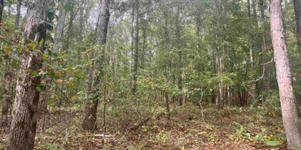 5.7 Acre Commercial Parcel 