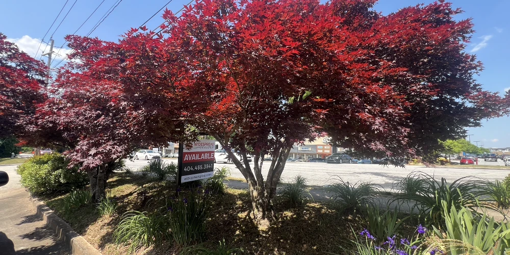 DECATUR OFFICE FOR SALE | 1463 Church Street