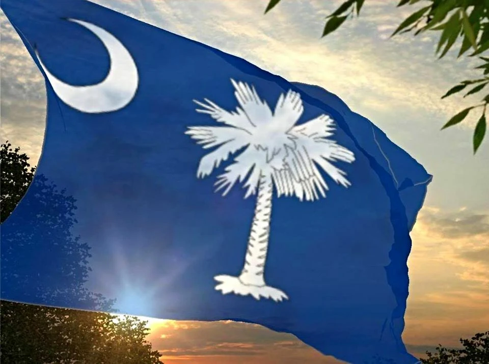 Twenty-Five Year Portfolio of Tax Sale Properties Across South Carolina Up to 100 + INDUSTRIAL DEVELOPMENT
