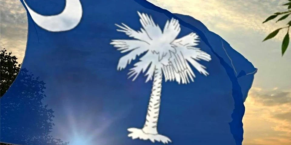 Twenty-Five Year Portfolio of Tax Sale Properties Across South Carolina Up to 100 + INDUSTRIAL DEVELOPMENT