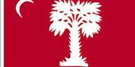 Twenty-Five Year Portfolio of Tax Sale Properties Across South Carolina Up to 100 + INDUSTRIAL DEVELOPMENT