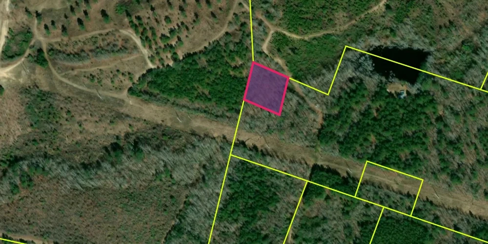 Backwoods Fraternity Initiation Site or Cabin Site In The Woods 1 Acre