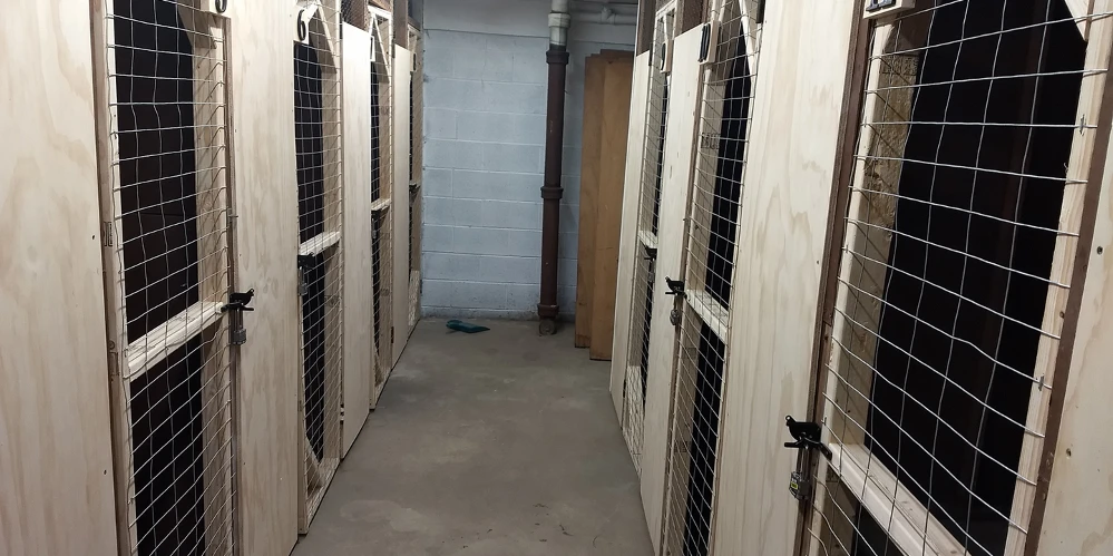 Fully Occupied 12-Unit Apartment Building with Value-Add Potential