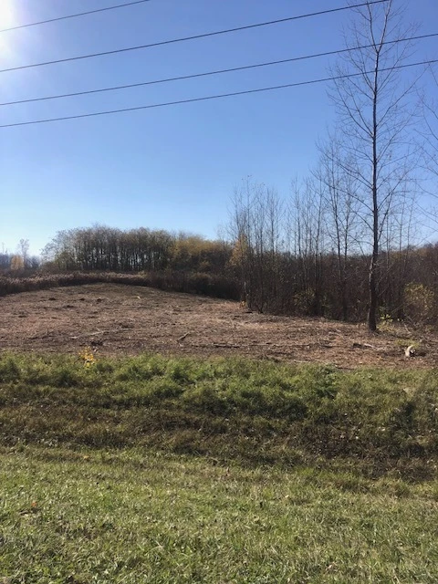 0 Alleghany Rd Highway 77 - 36.7+/- Acres Vacant Land