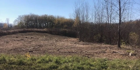 0 Alleghany Rd Highway 77 - 36.7+/- Acres Vacant Land