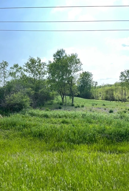 0 Alleghany Rd Highway 77 - 36.7+/- Acres Vacant Land