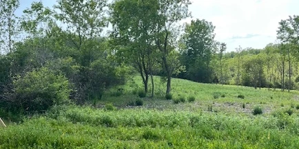 0 Alleghany Rd Highway 77 - 36.7+/- Acres Vacant Land