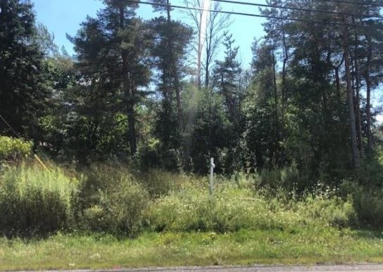 2274 Southwestern Blvd - New Price! Raw-Land/Development Opportunity