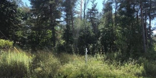 2274 Southwestern Blvd - New Price! Raw-Land/Development Opportunity