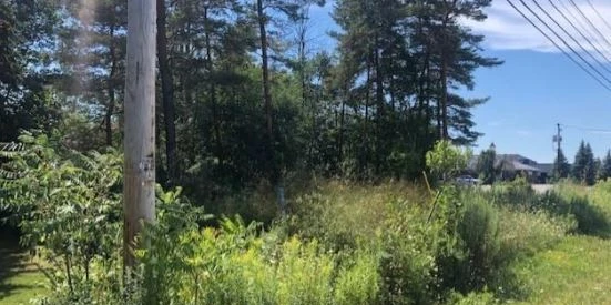 2274 Southwestern Blvd - New Price! Raw-Land/Development Opportunity