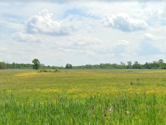 2313 Townline Road - Development