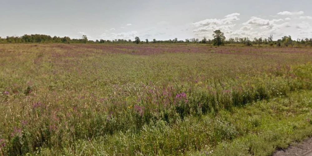 2313 Townline Road - Development