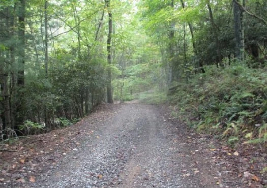 5 acres Unzoned Land in Turtletown TN