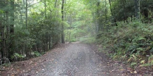 5 acres Unzoned Land in Turtletown TN