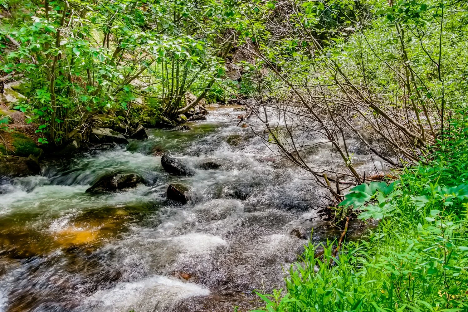 Water & Stone Cabins | 14-Keys | C-3 Zoning | Live Creek Frontage | 9.2 Proforma CAP