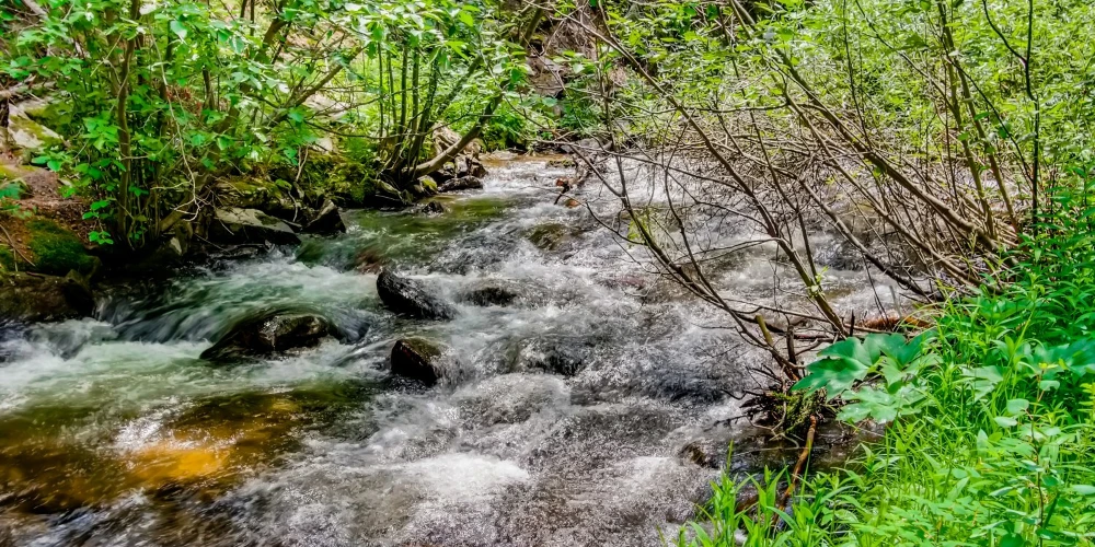 Water & Stone Cabins | 14-Keys | C-3 Zoning | Live Creek Frontage | 9.2 Proforma CAP
