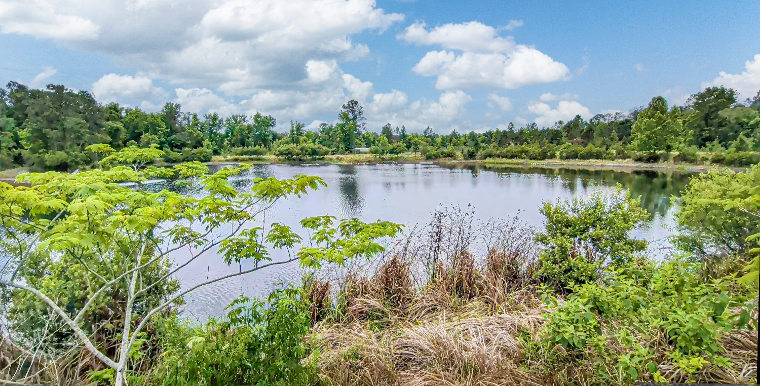 408 Chaffee Road North, Jacksonville, FL for sale