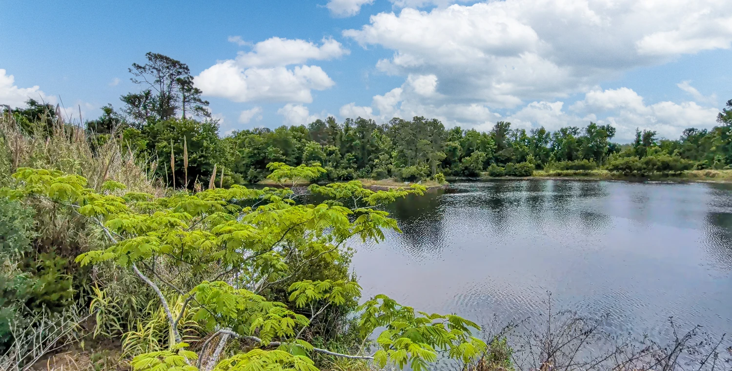 408 Chaffee Road North, Jacksonville, FL for sale