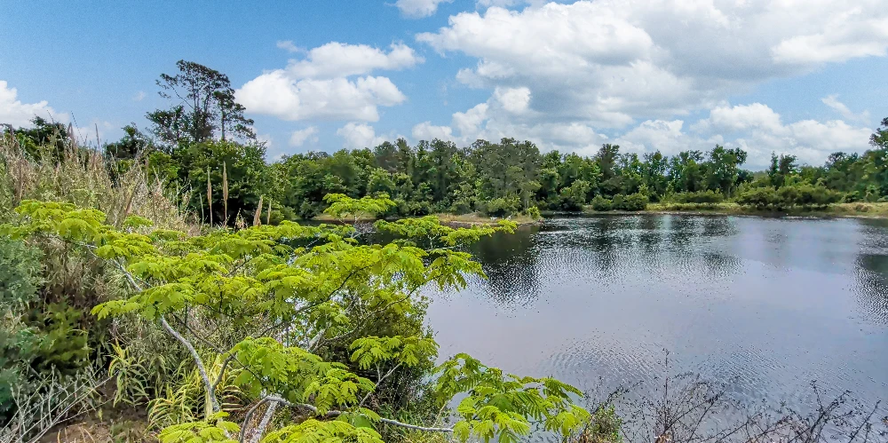 408 Chaffee Road North, Jacksonville, FL for sale