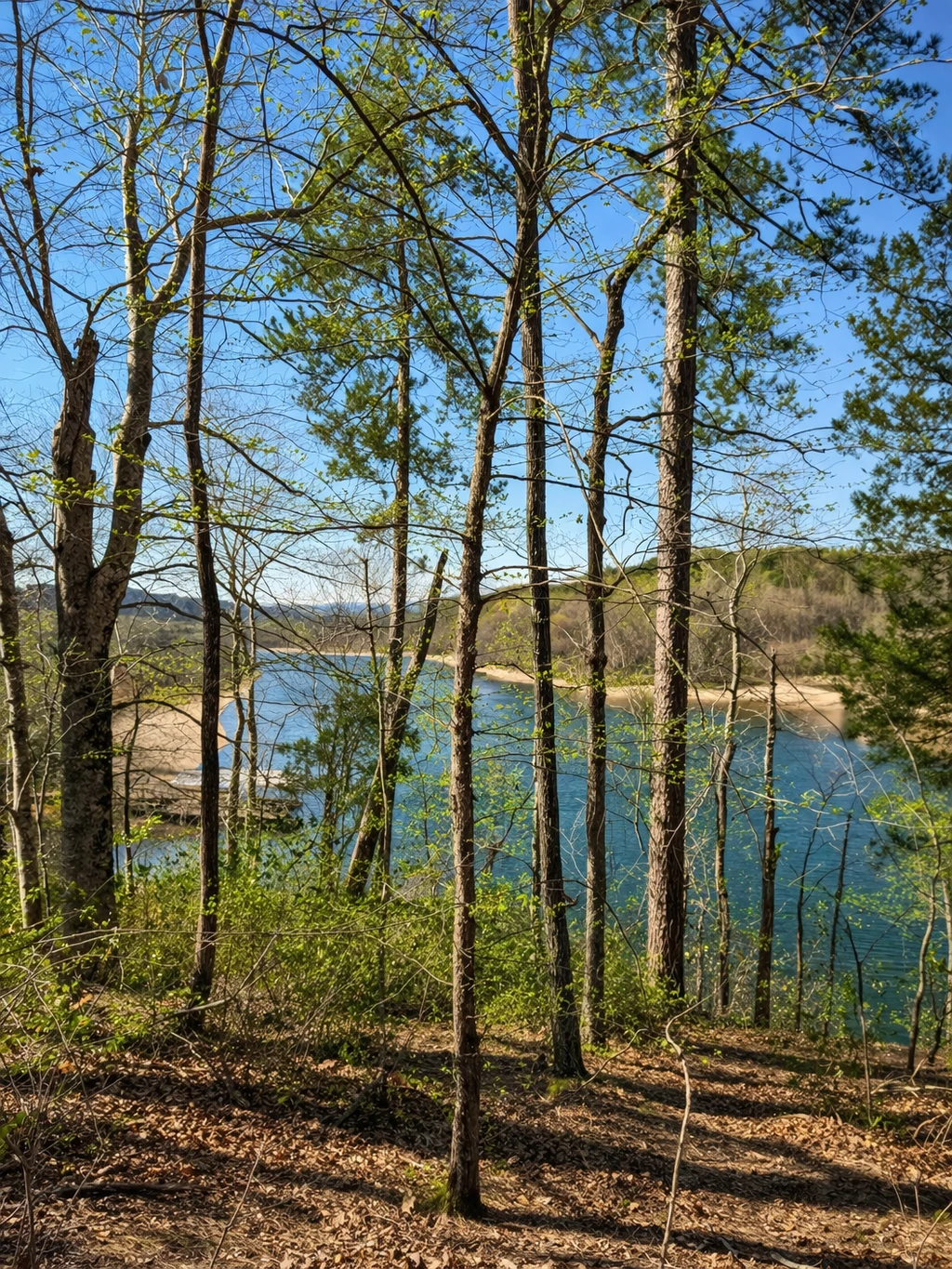 333 Laurel Mountain Drive, Toccoa, GA for sale