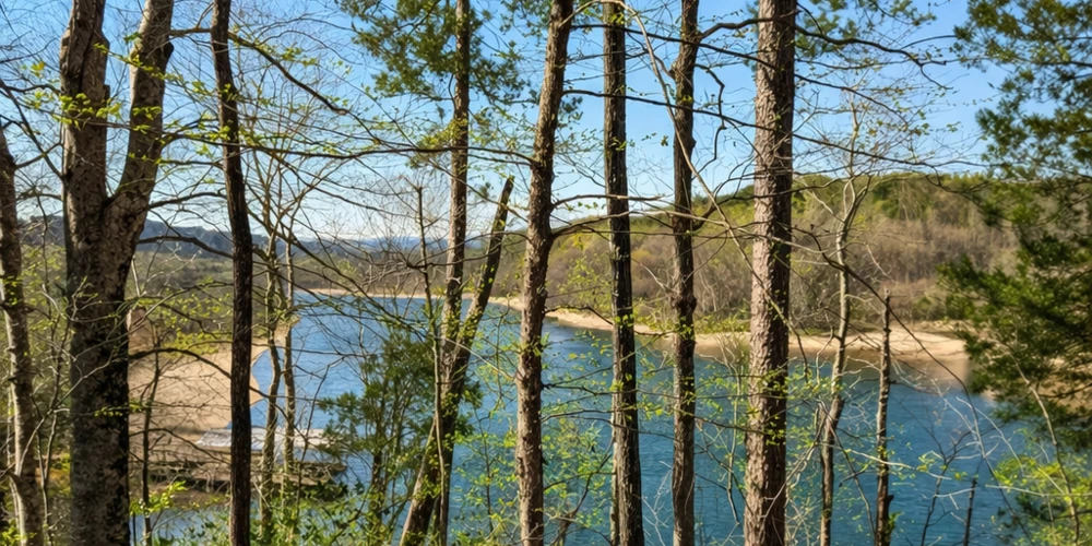 333 Laurel Mountain Drive, Toccoa, GA for sale