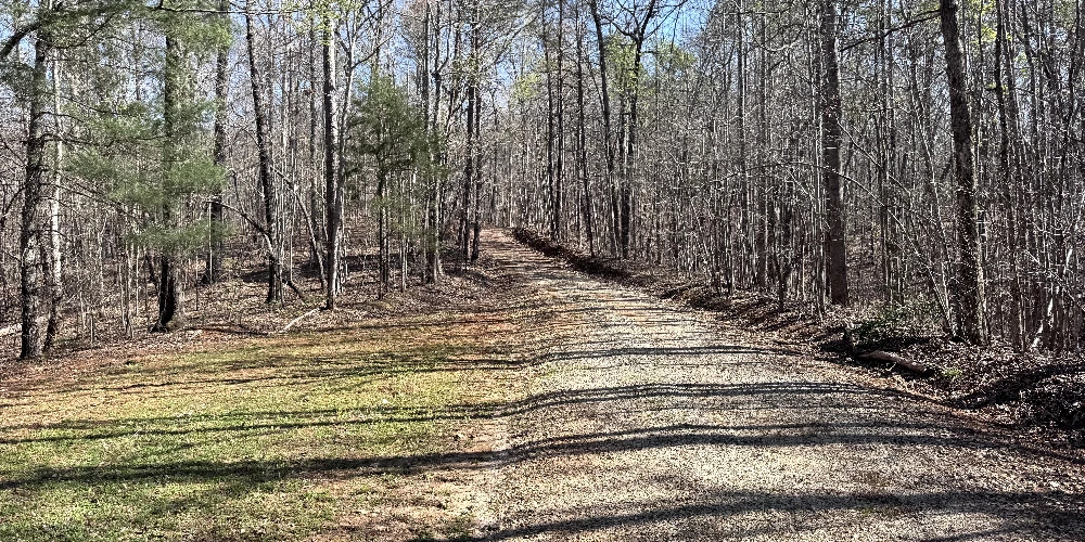 333 Laurel Mountain Drive, Toccoa, GA for sale