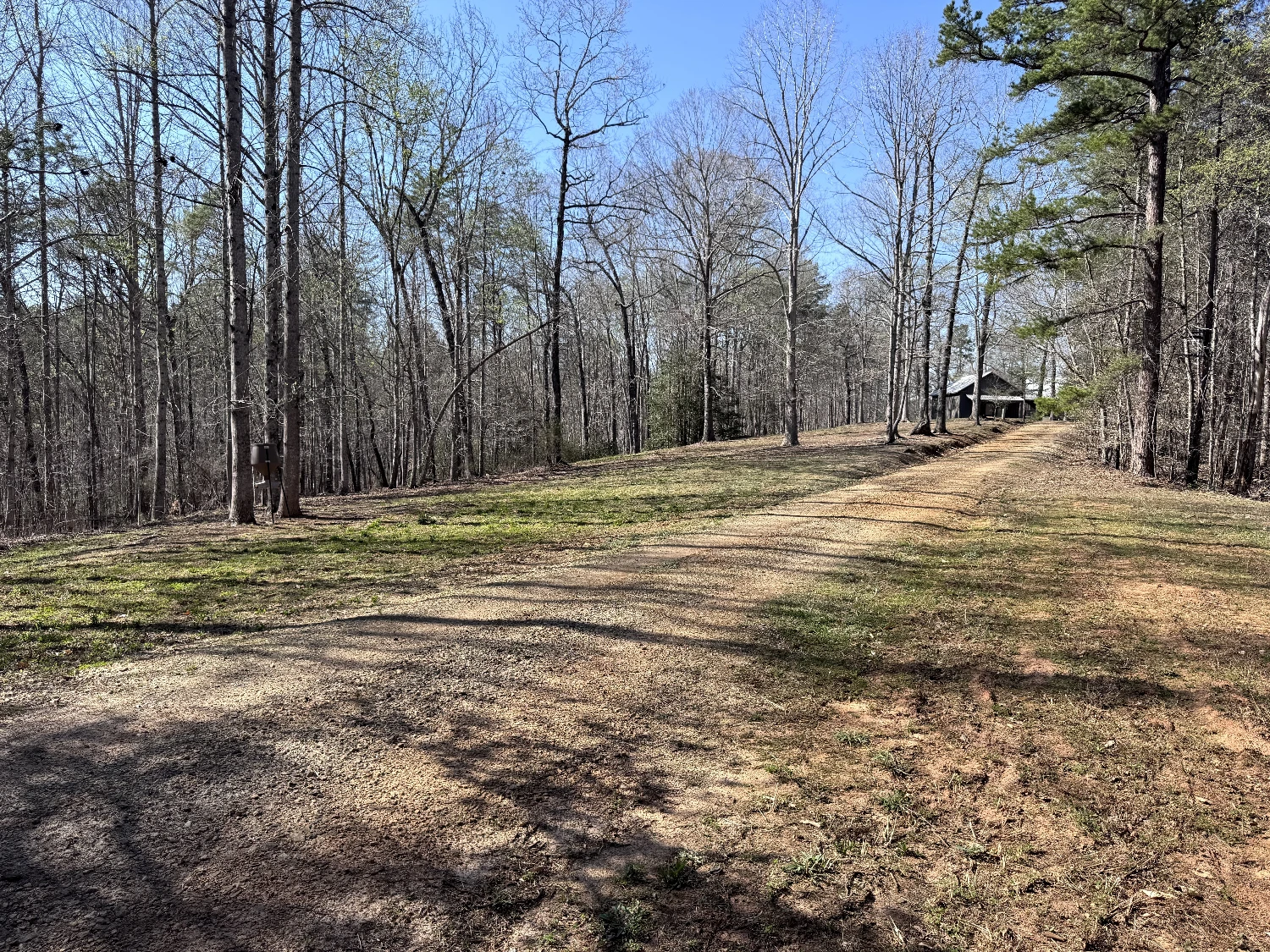 333 Laurel Mountain Drive, Toccoa, GA for sale