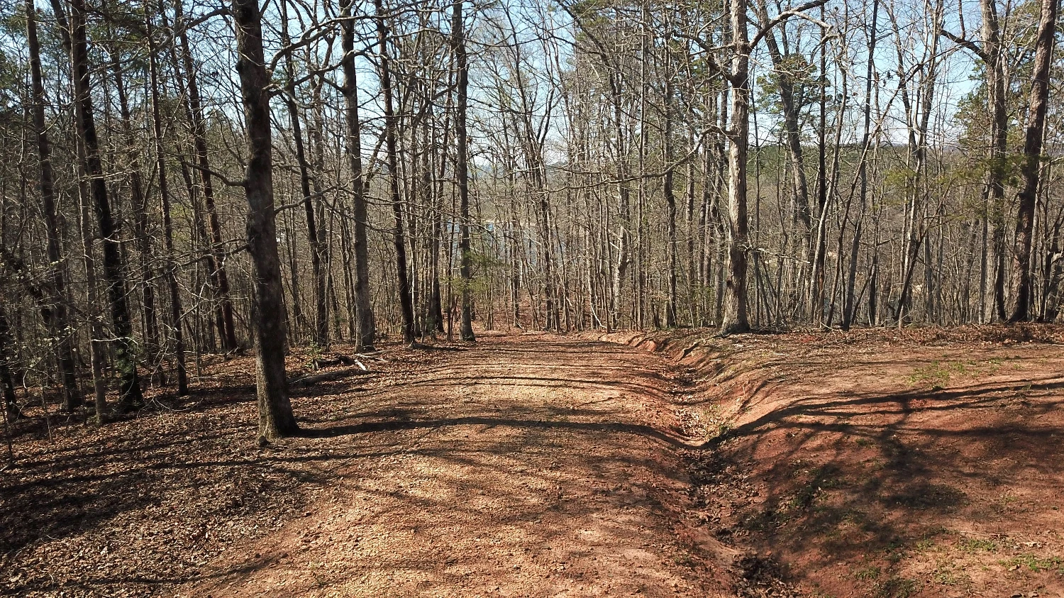 333 Laurel Mountain Drive, Toccoa, GA for sale